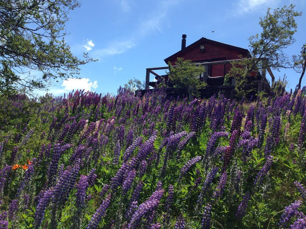 Cabanas Brellenthin Villa Cochrane Exteriör bild